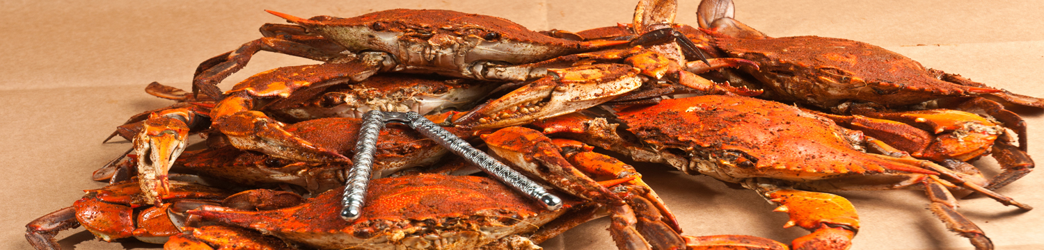Re-elect Mark Schaeffer to Sussex County Council. All You Can Eat Crab Feast, Sat Sept. 7, 2024